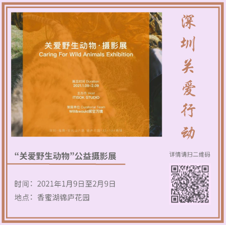 4.藝術新年_頁面_02.png 4.藝術新年_頁面_02.png